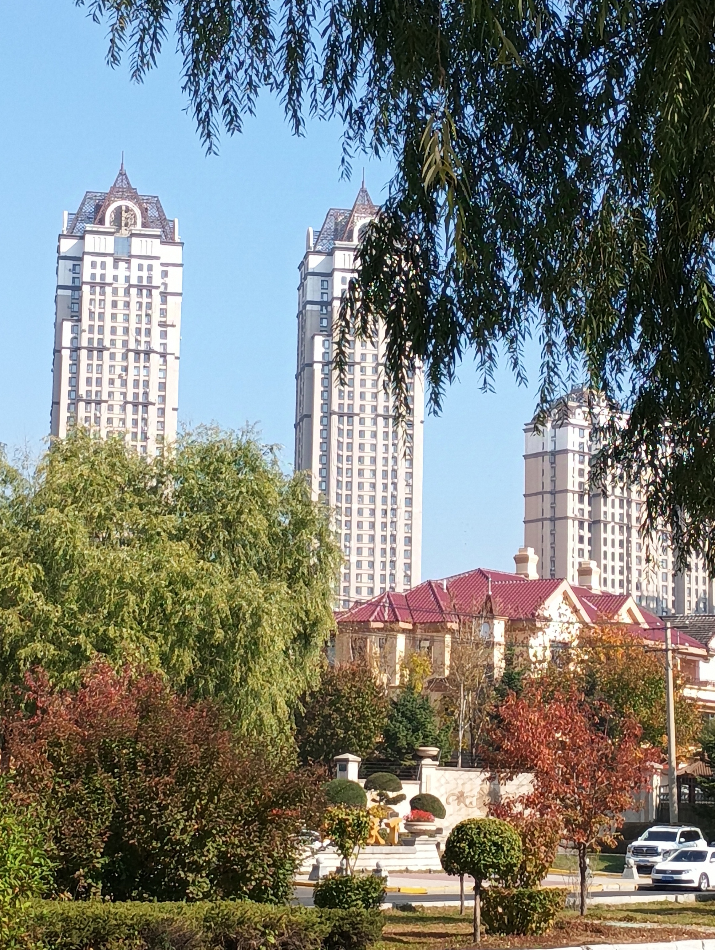 今天出门回来时,走到小区的对面,抬头见秋日的小区风景如此的美,每日