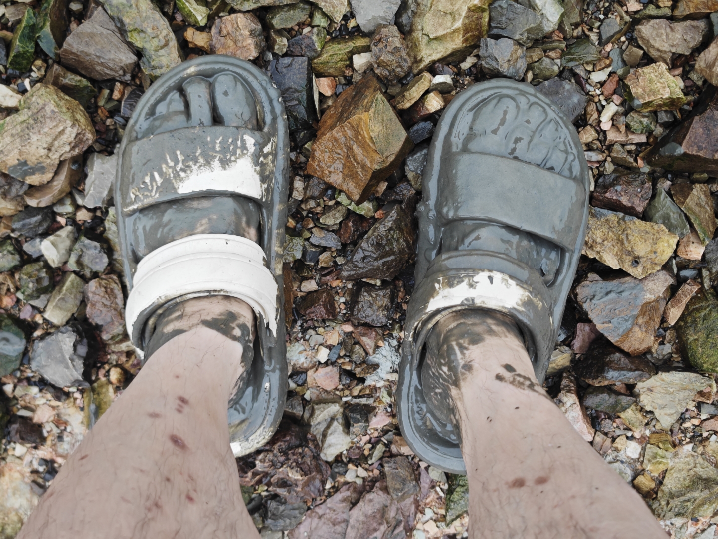 再也不来这赶海了,曹妃甸没有沙滩,只有陷脚的淤泥和各种锋利的石头与
