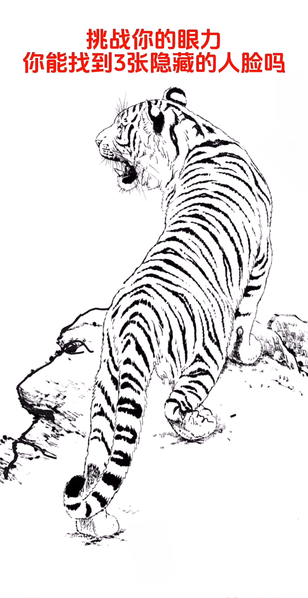 看这只威风凛凛的老虎,王者风范十足,可就在它身上,竟藏着三张神秘