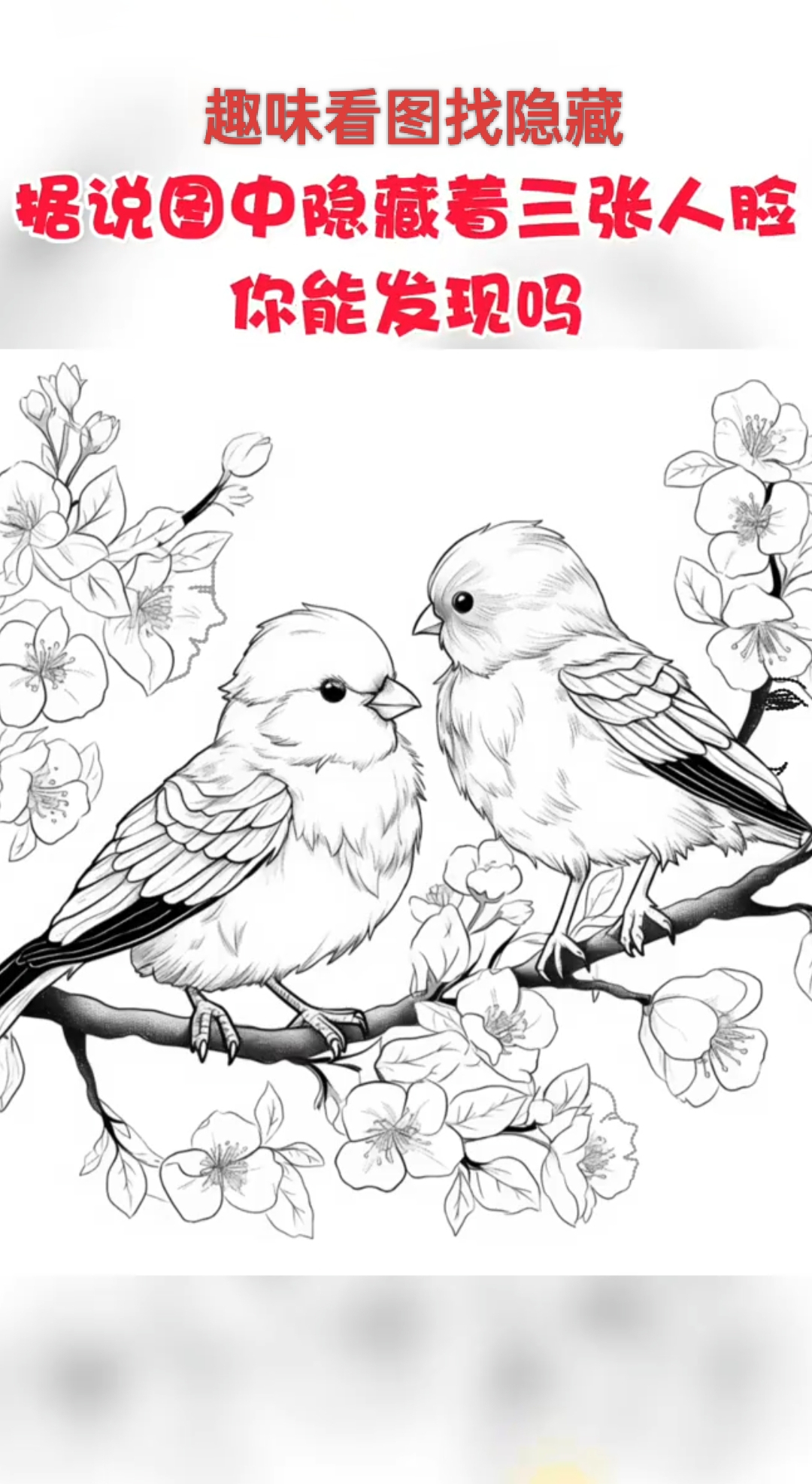 别光顾着看灵动的喜鹊,复杂的背景,交错的树枝里可能就藏着人脸