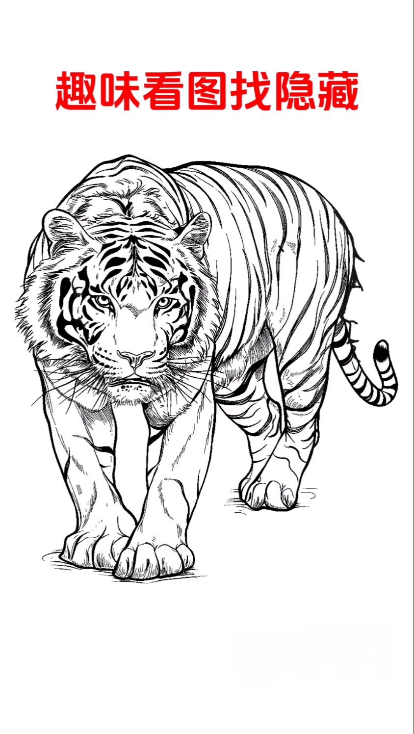 老虎斑斓的花纹,独特的轮廓与那隐匿的人脸轮廓交织,宛如一场视觉