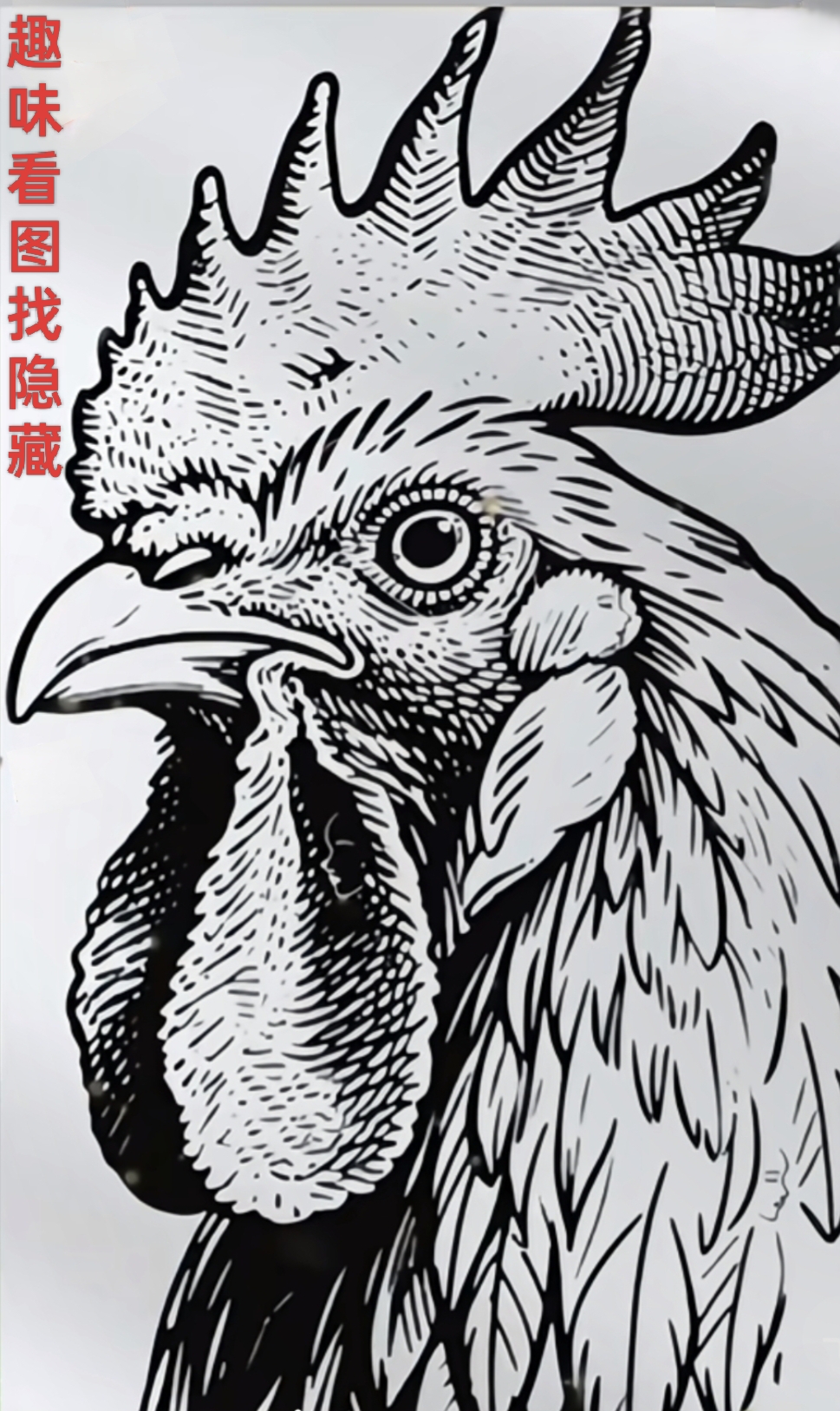 羽毛的阴影勾勒出嘴唇,每一处线条都可能始 黑白画看图找人脸图片大全