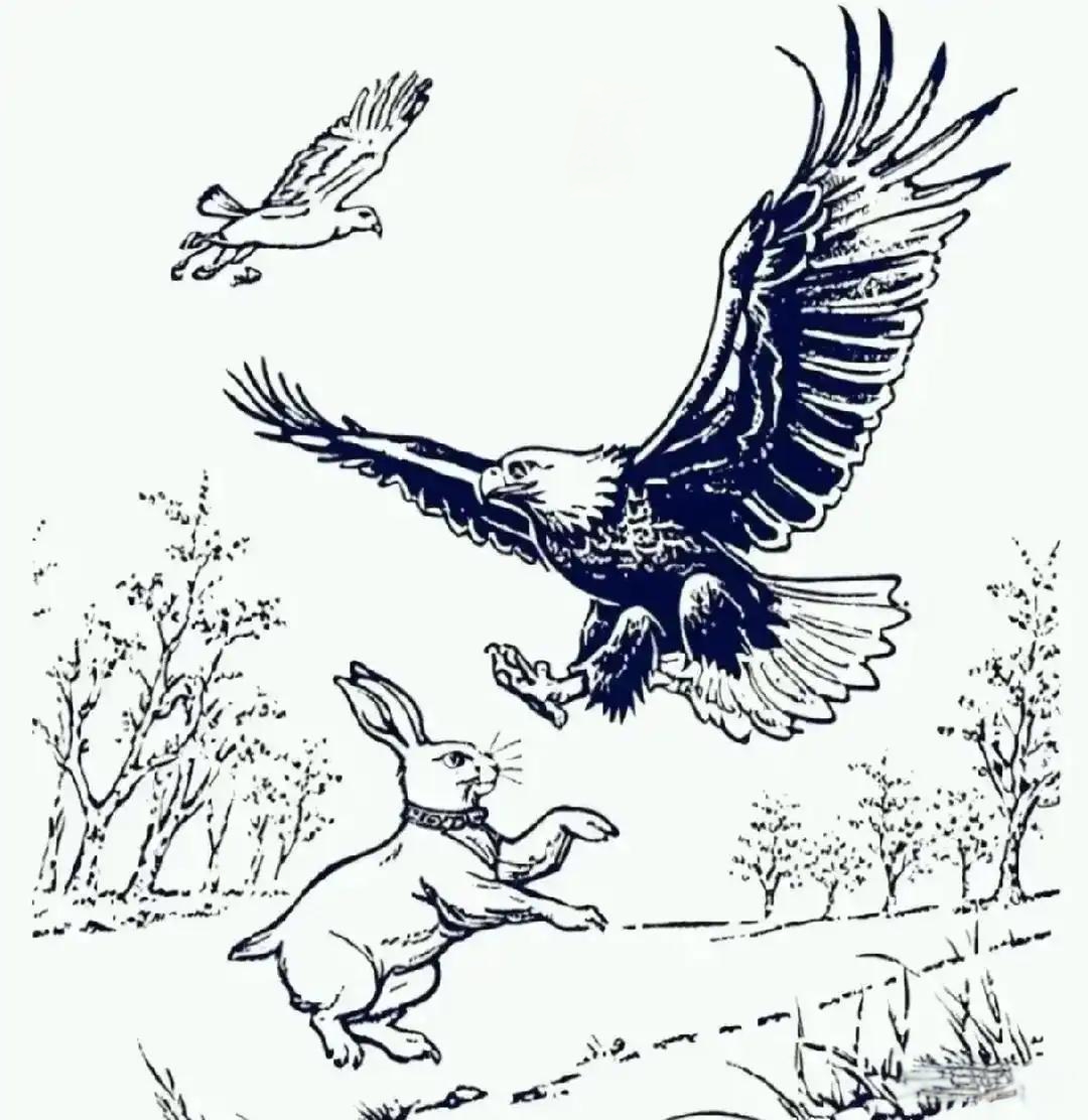 据说人脸就隐匿在画面里,它们可能藏在斑驳光影里,伪装在复杂线条间