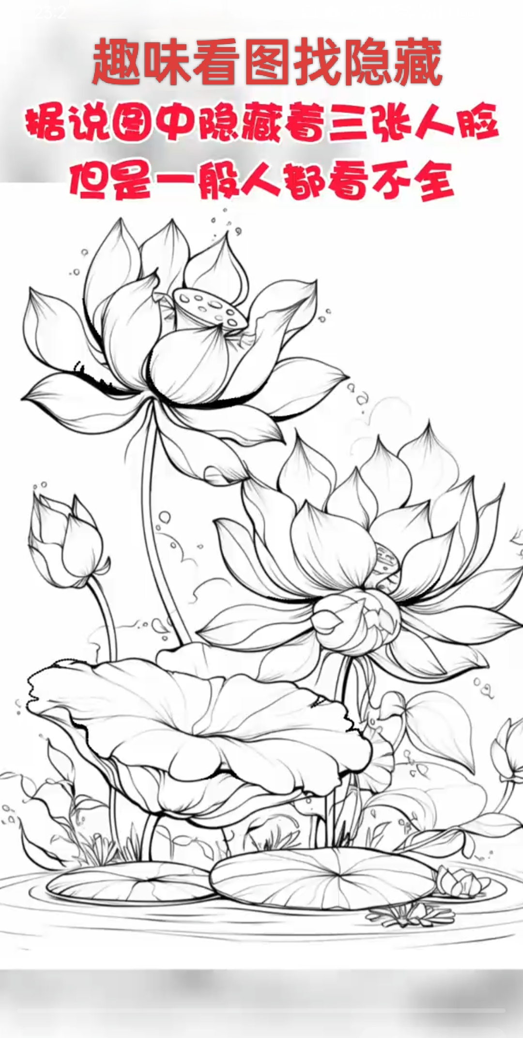 传说其中隐匿着三张人脸,可能藏在荷叶脉络,也许躲在花蕊深处,还说不