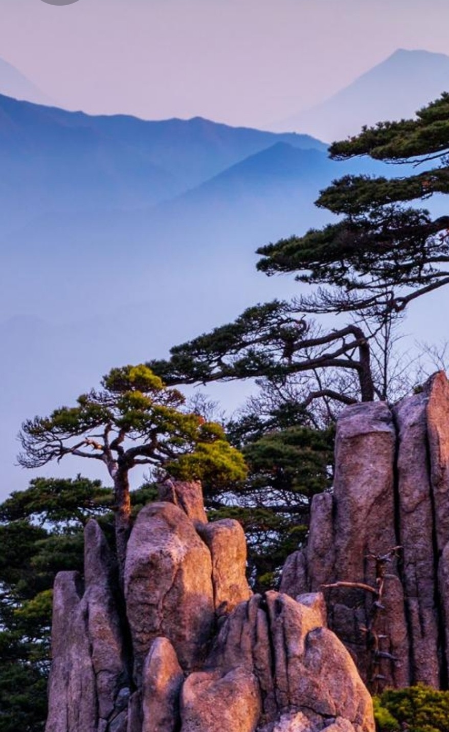 以下是黄山的四大景点及其特色风景概述:  四大