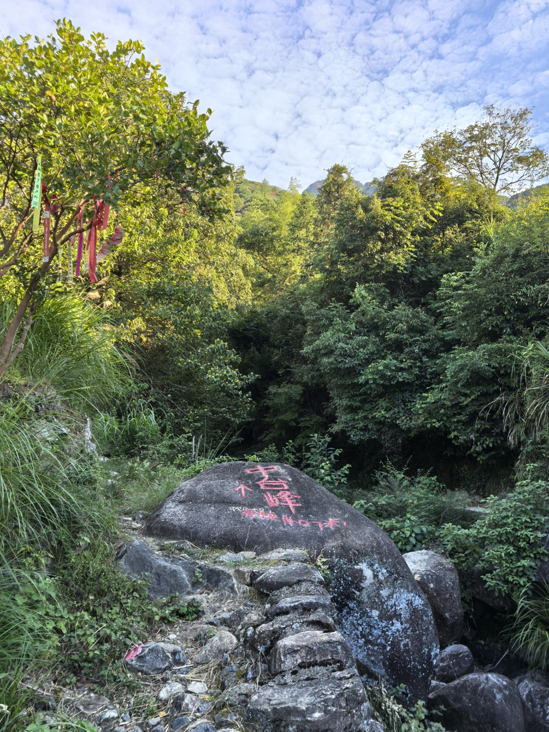 信阳灵山海拔图片