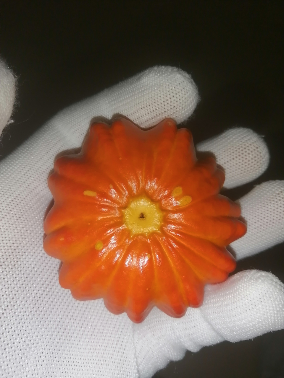 墨西哥七彩葫芦,反色了[开心]