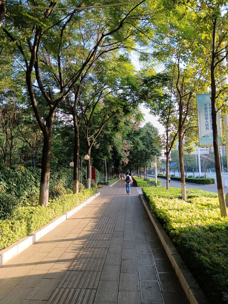 早晨的城市在我眼中就像一颗醒来的宝石,阳光照射在其每一个角落,光芒