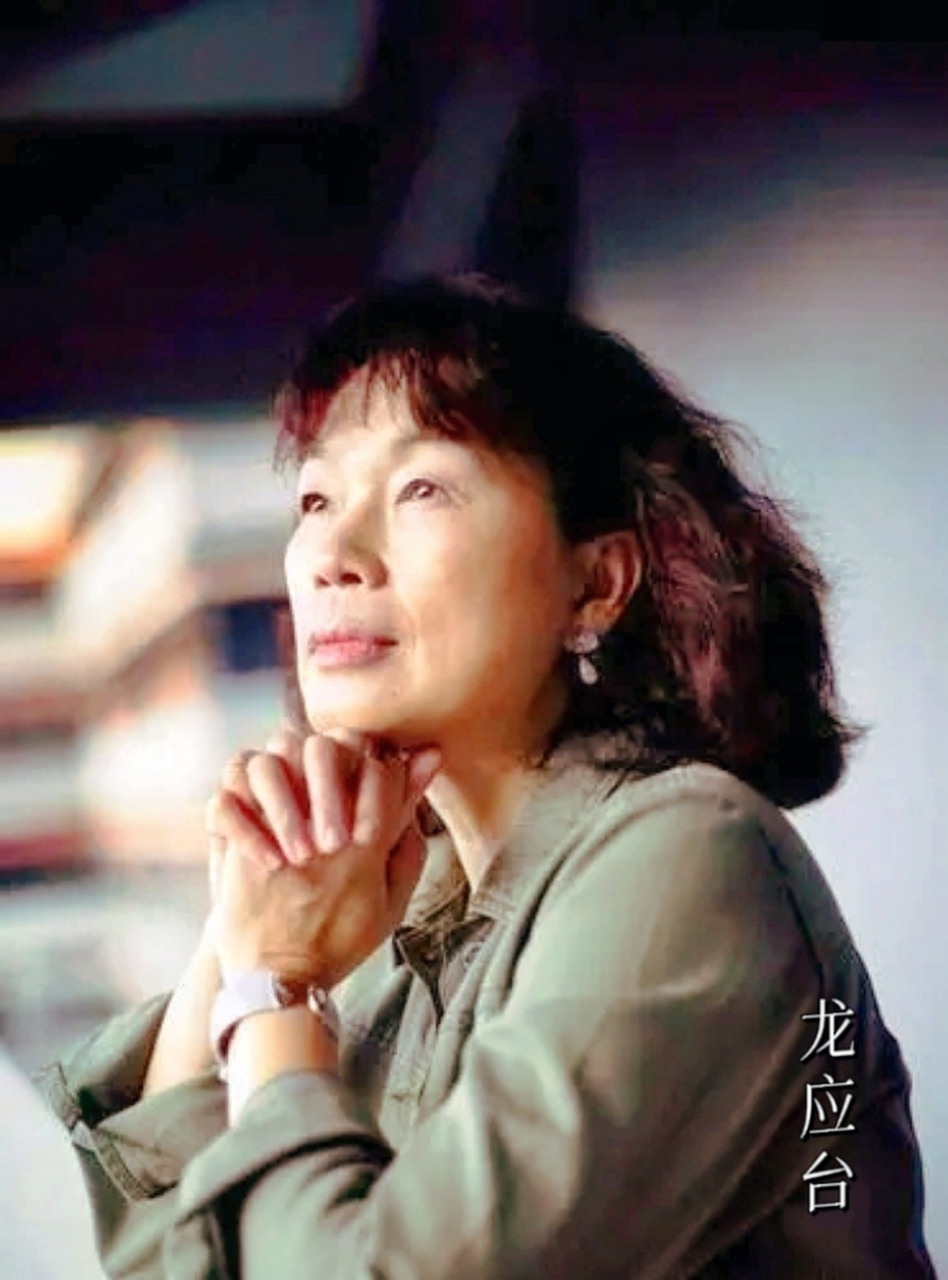 龙应台教育孩子的话,感同身受: "孩子,我要求你读书用功,不是因为我要