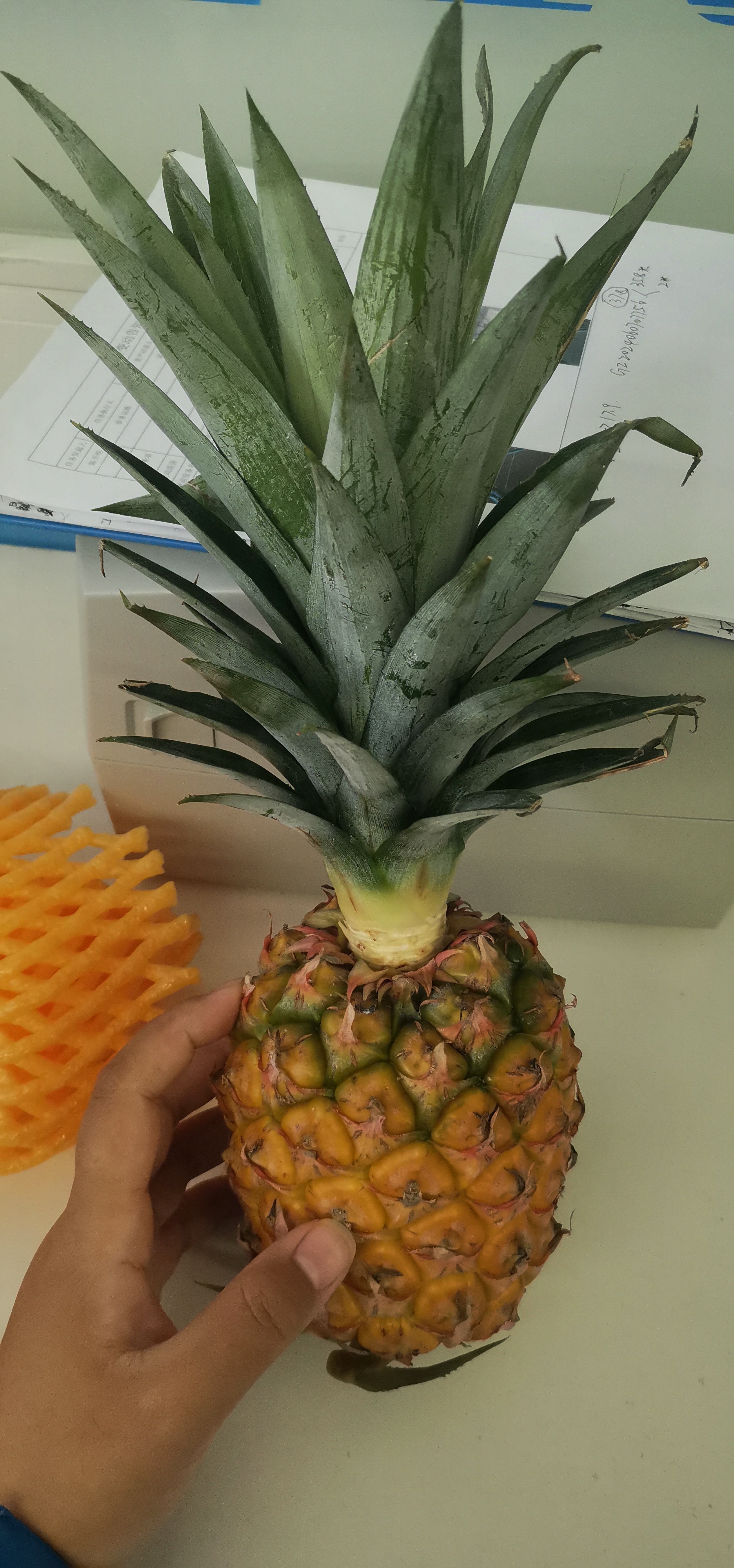 1872_4000竖版 竖屏