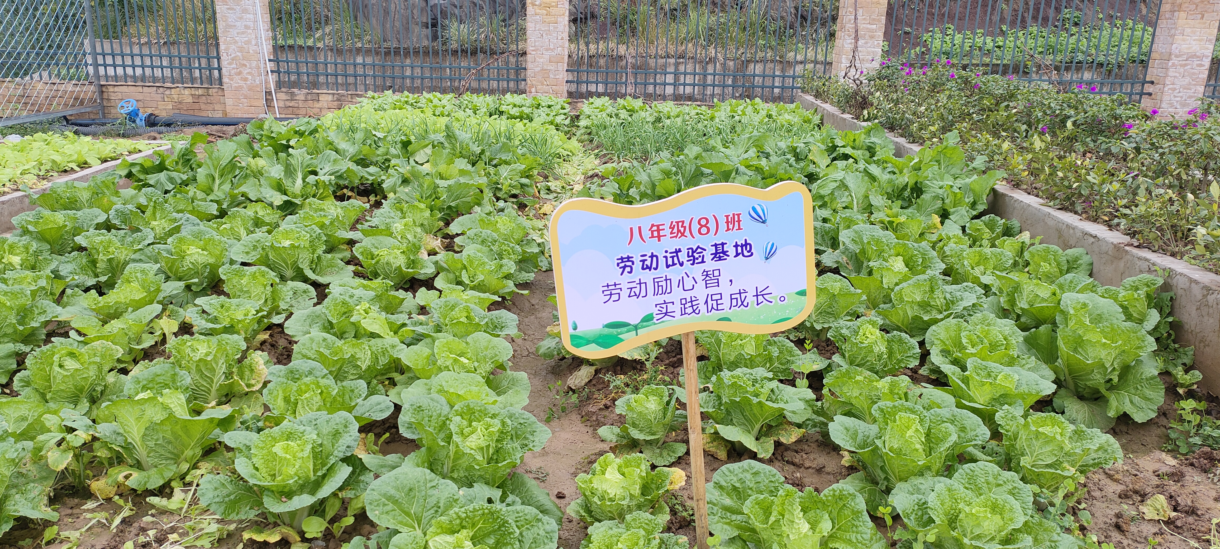 宣汉县黄金初级中学图片