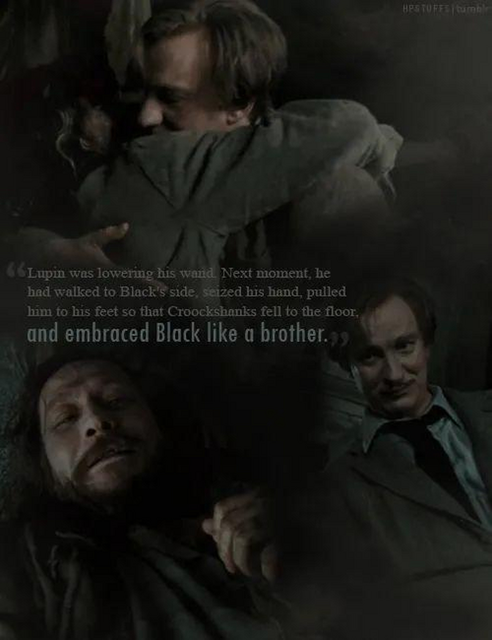 一组"犬狼"的cp图,值得拥有