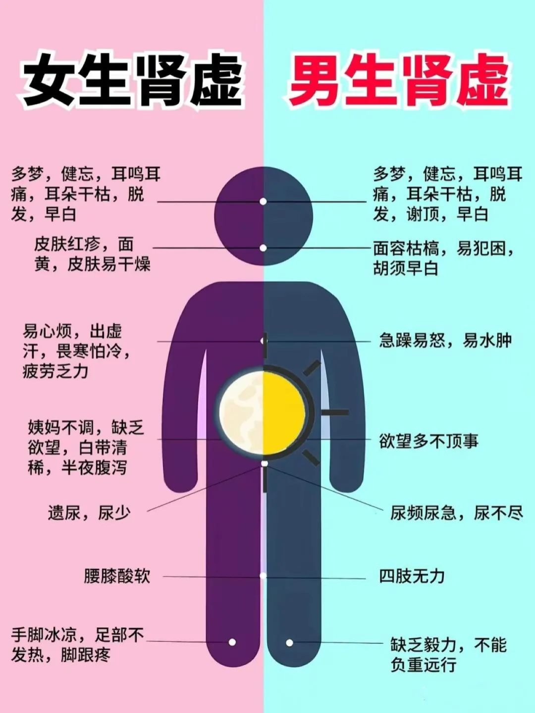 女性肾气虚图片