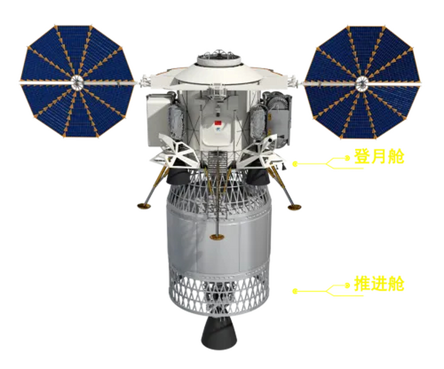 鸡蛋着陆器图片