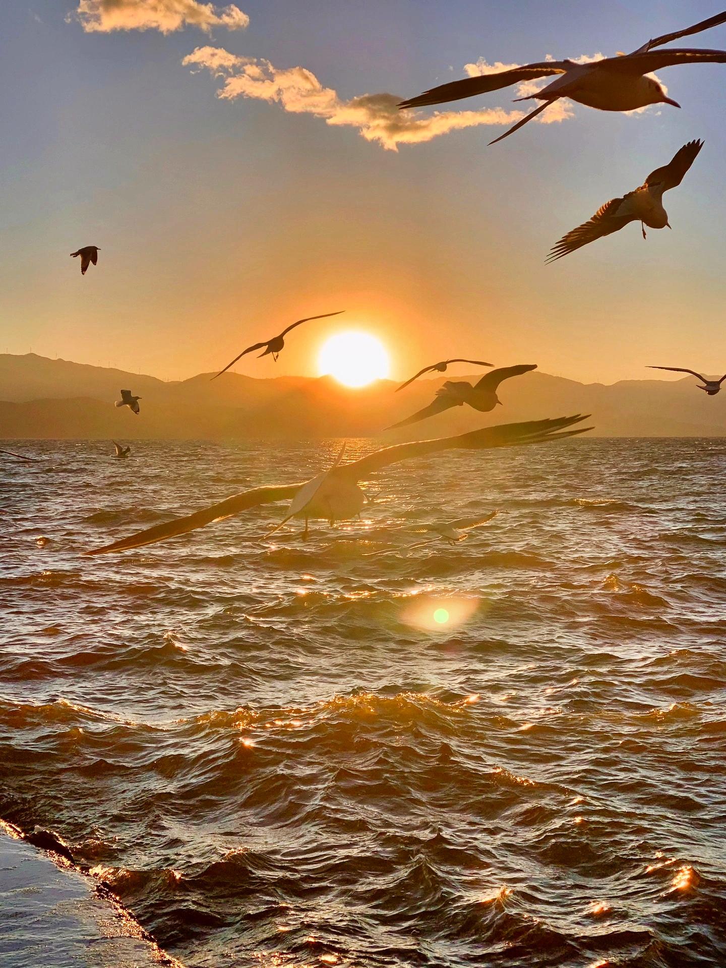 今日阳光正好,心情更是无比愉悦!