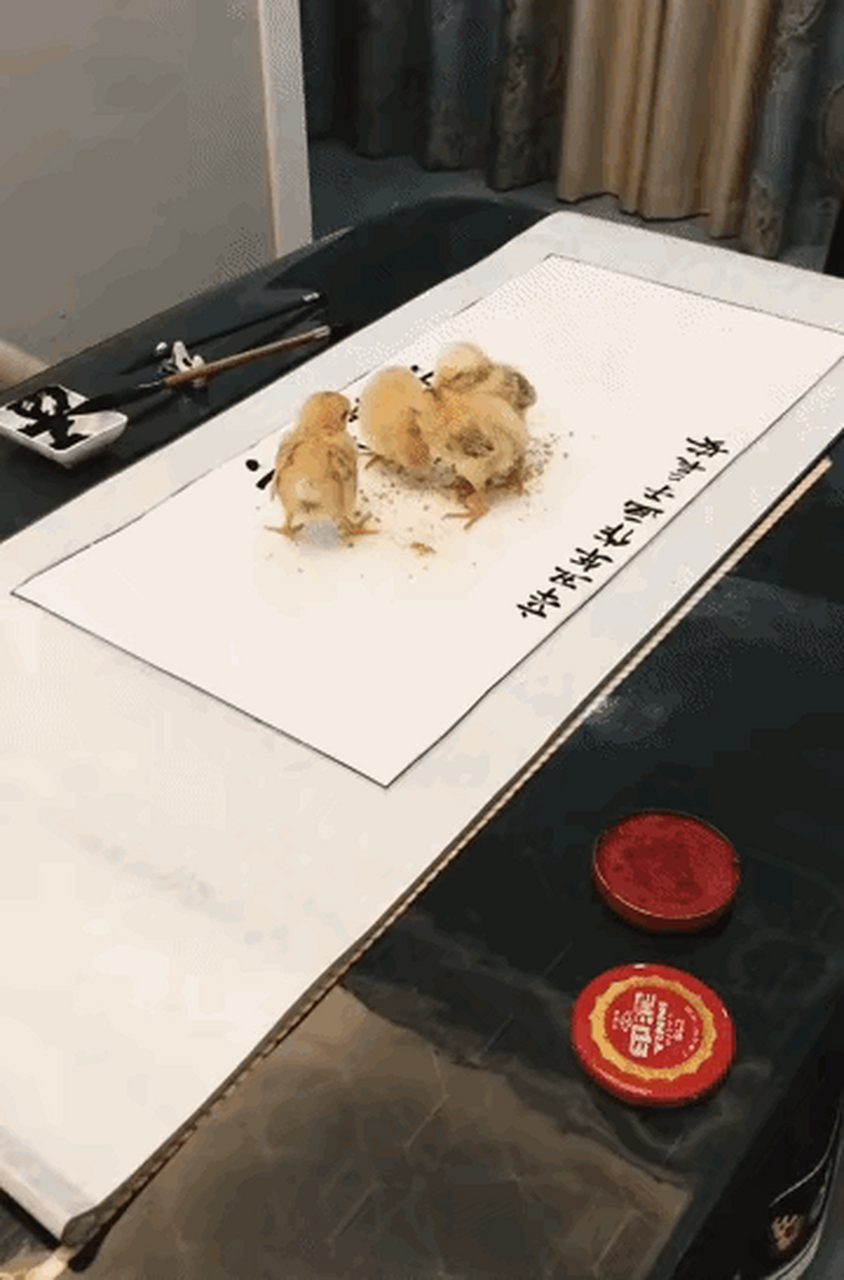 小鸡啄米图,活灵活现.