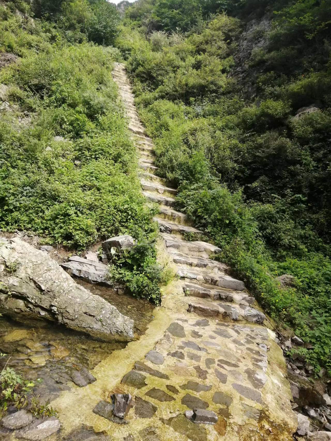 隆化莲花山景区图片