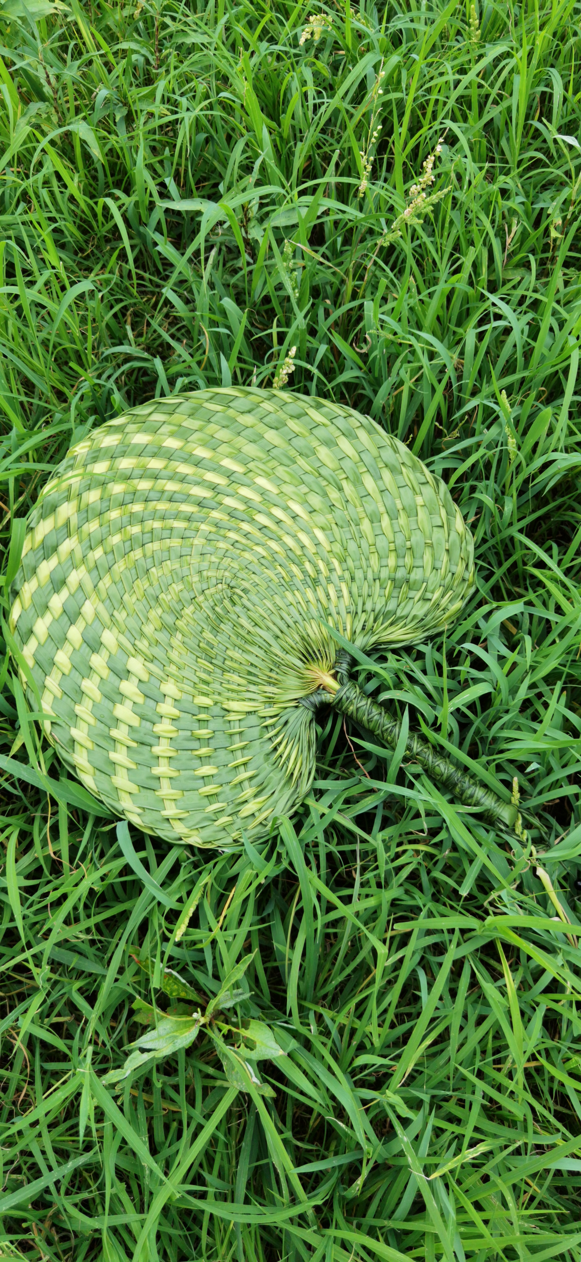 采用新鲜棕树叶进行编织,没有老一辈人用干棕叶编的好,但是真的好治愈