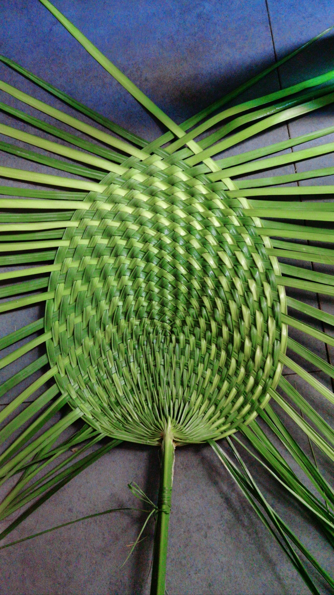 夏天来了,用棕叶编织一把好看的蒲扇,新鲜绿色清新治愈.