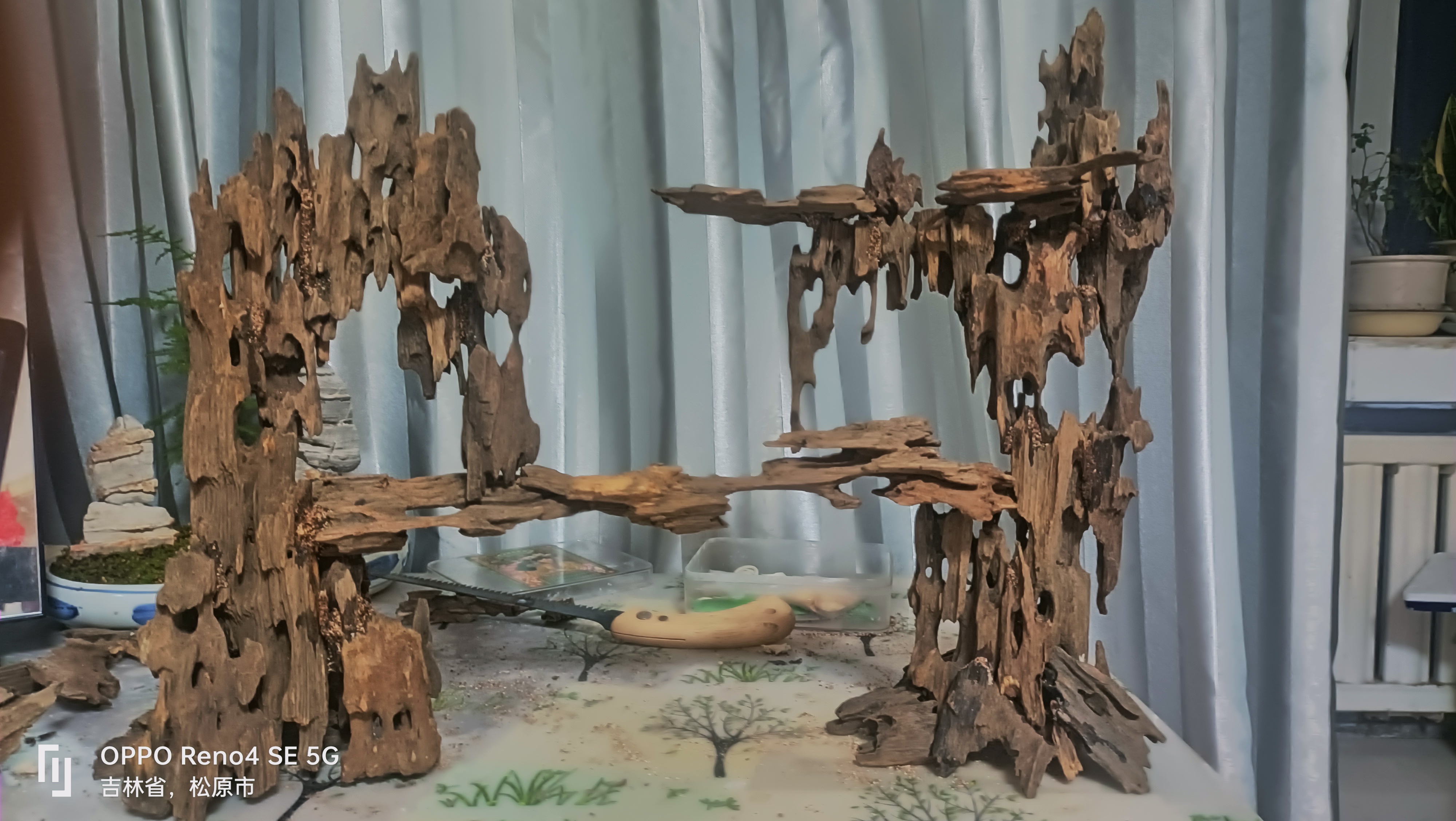 刚粘了个天空之城造景,虾木品相不怎么好,有点单薄