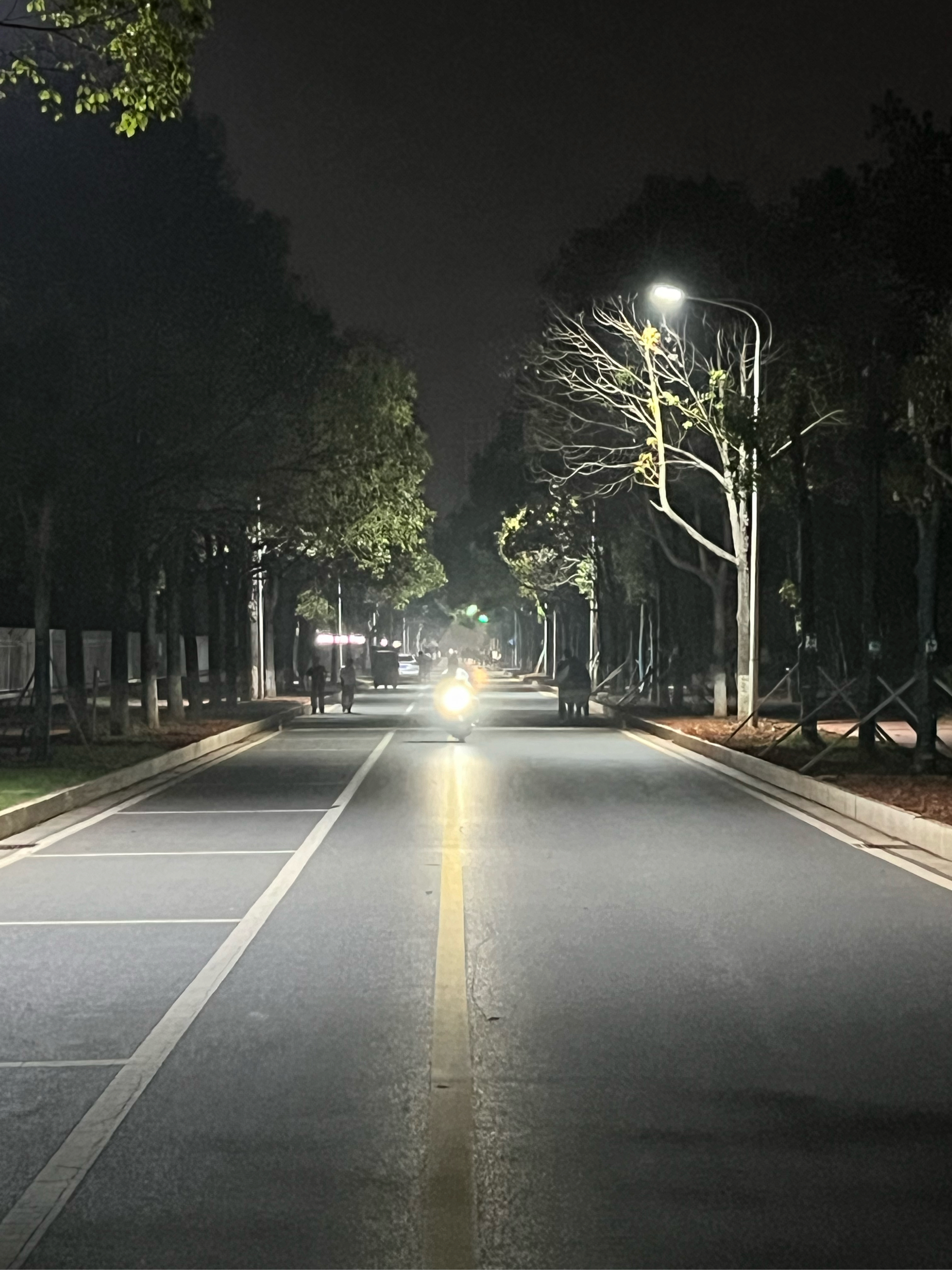 街道夜景图片 安静图片