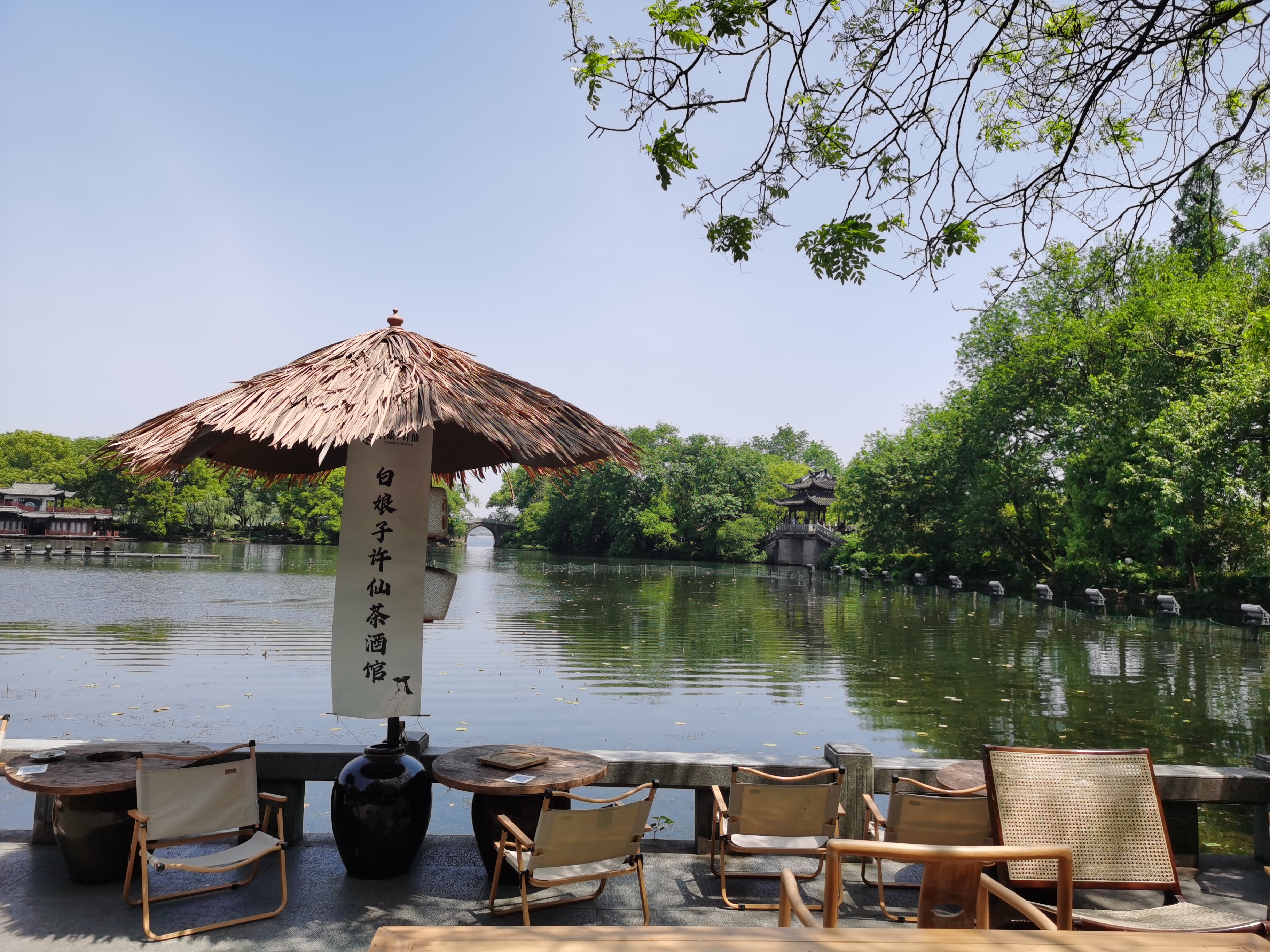 旅行# 春到西湖——西湖十景之曲院风荷景区一览