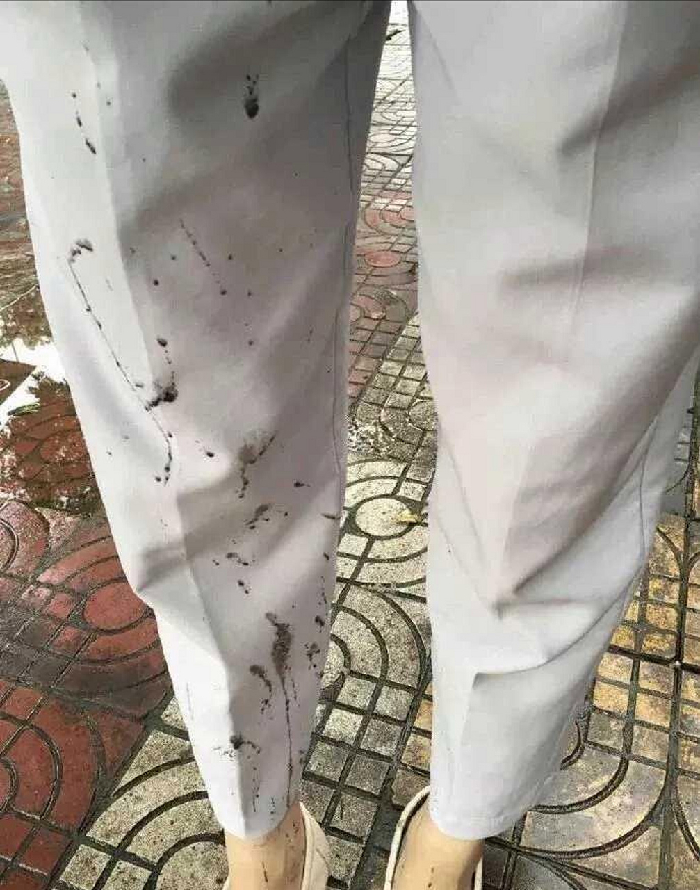 今天出门没看黄历