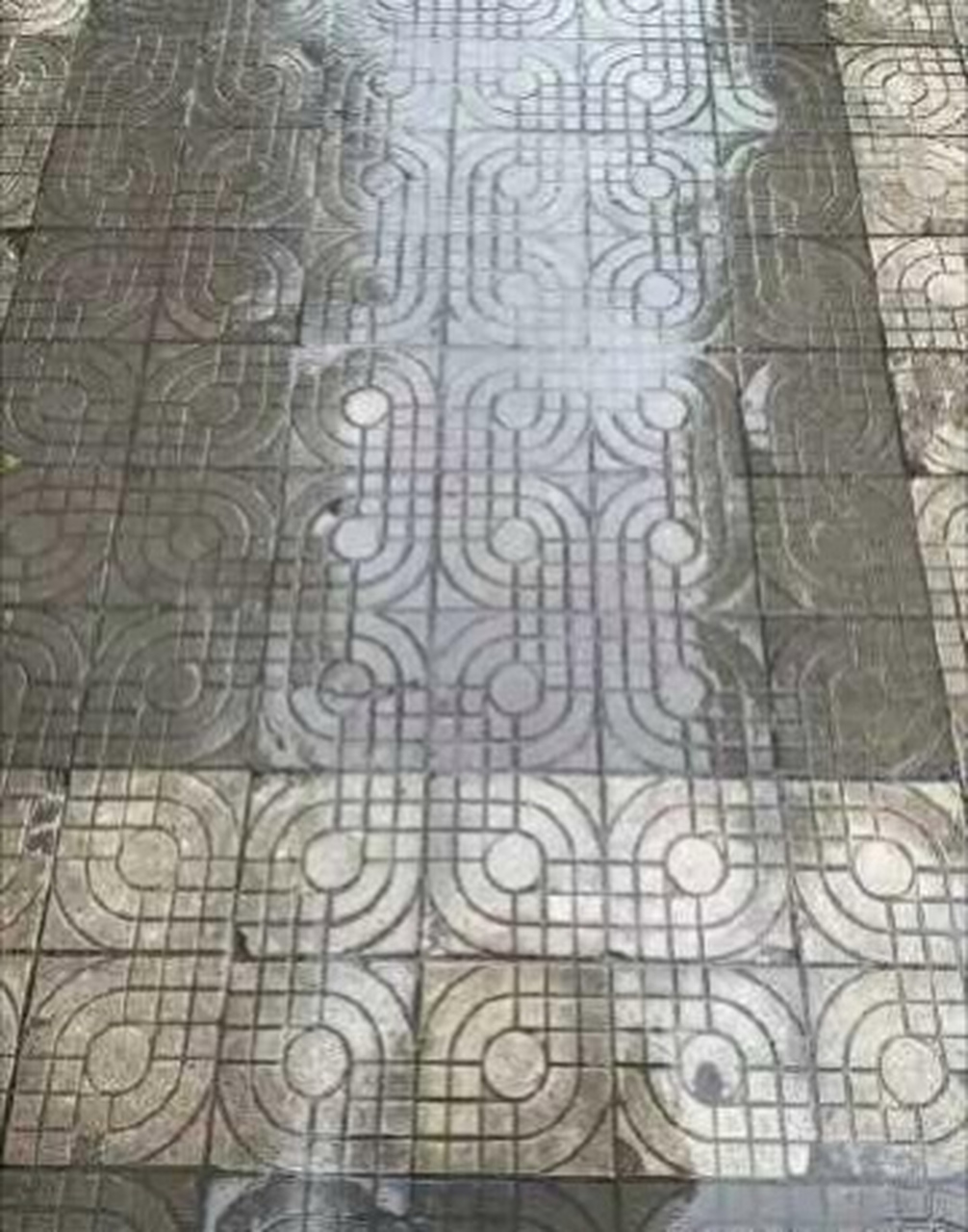 今天出门没看黄历