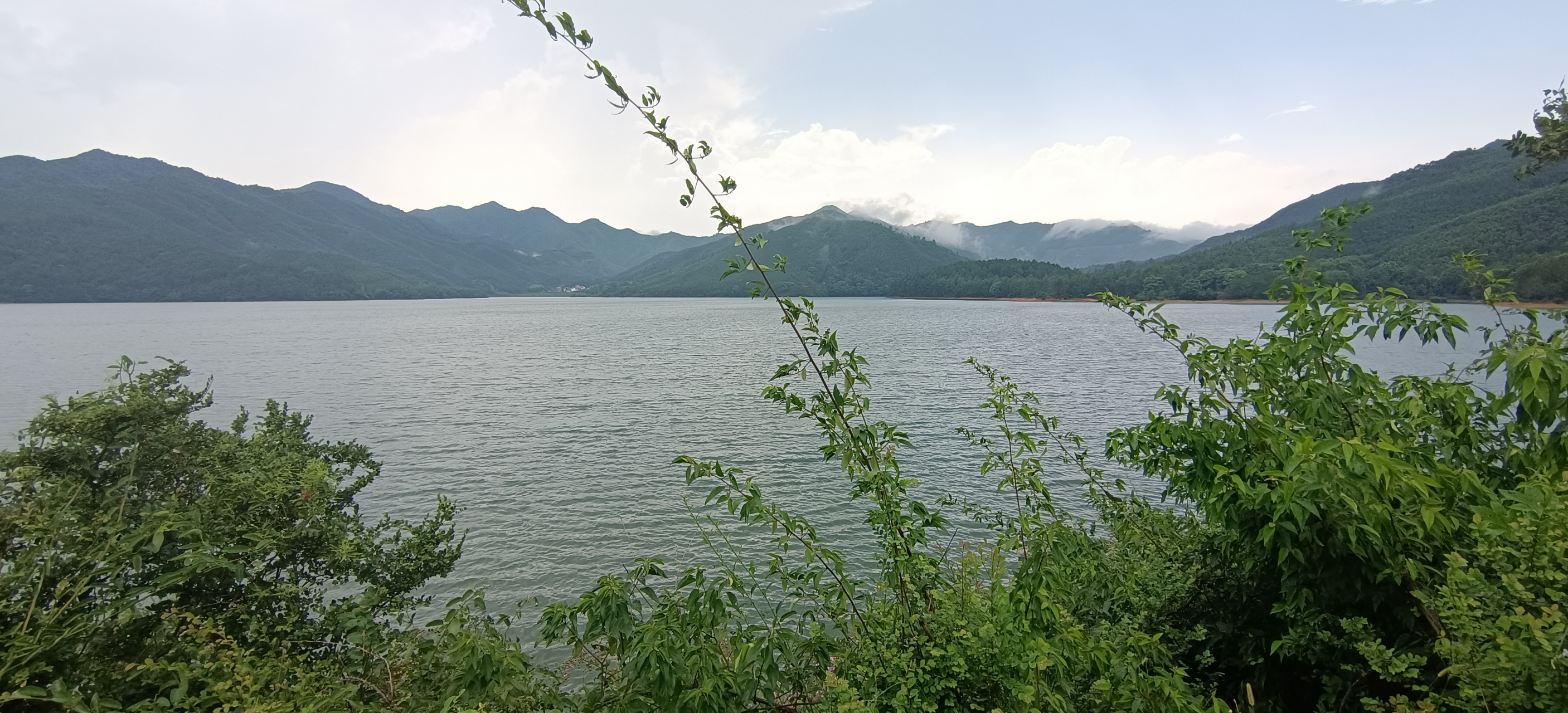 风水宝地飞凤朝阳图片图片