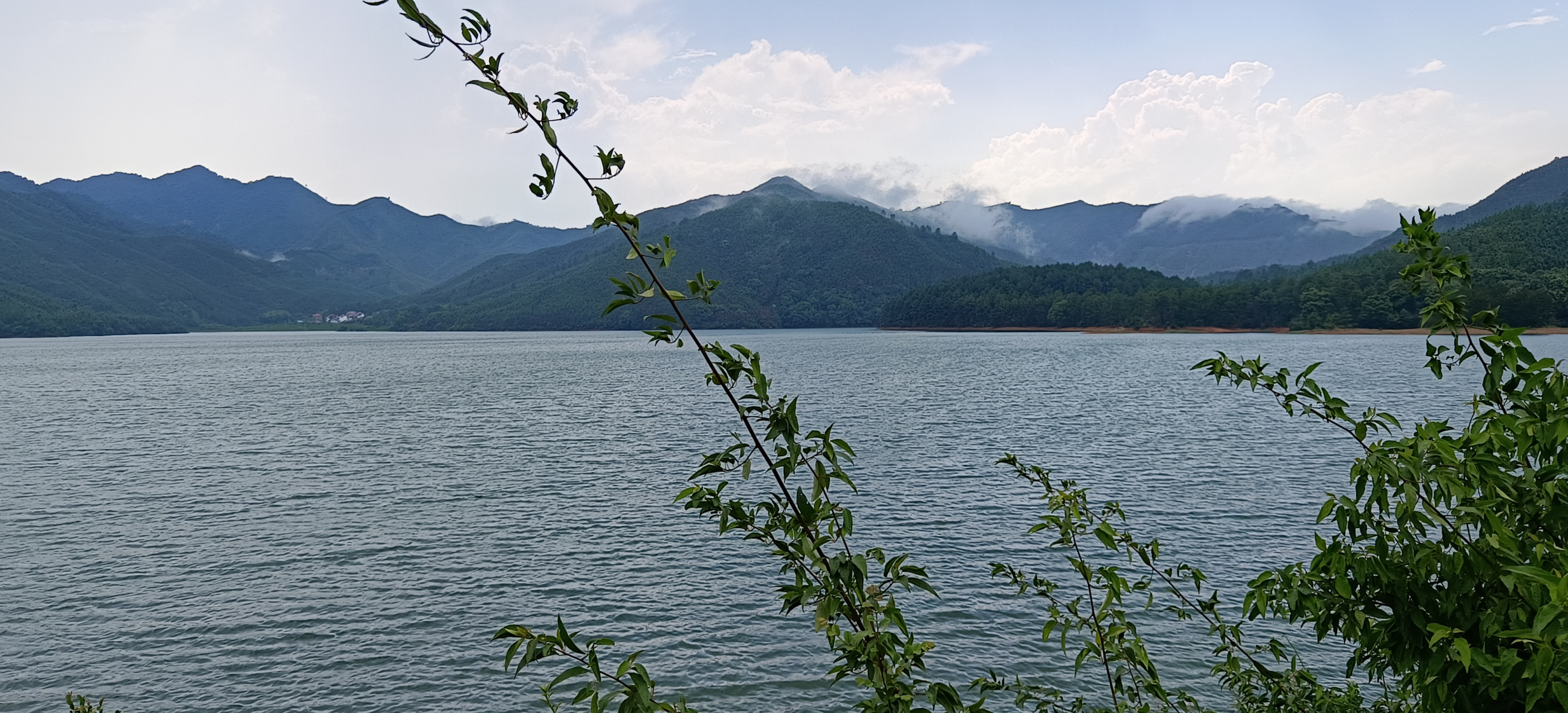 带有灵气的风水宝地《腾龙出海》