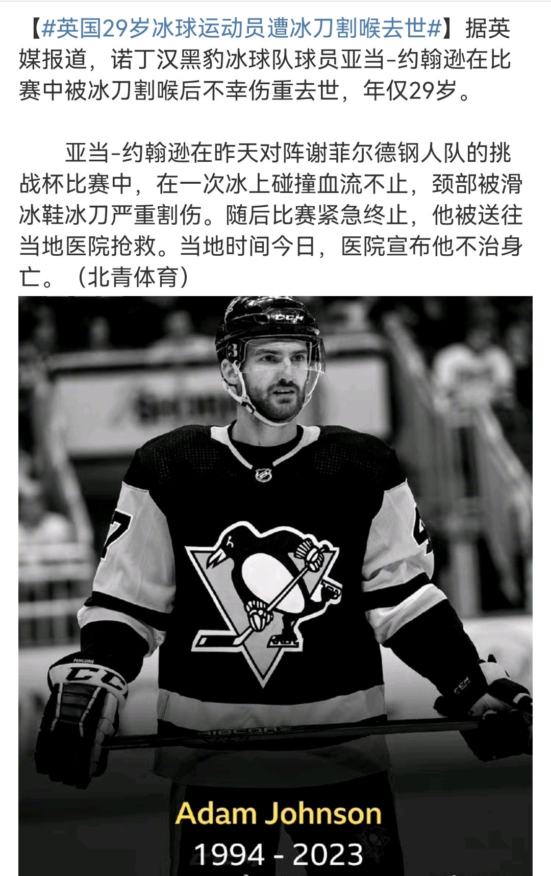 据英媒报道,被冰刀割喉不辛身亡的运动员叫亚当-约翰逊,年仅29岁.