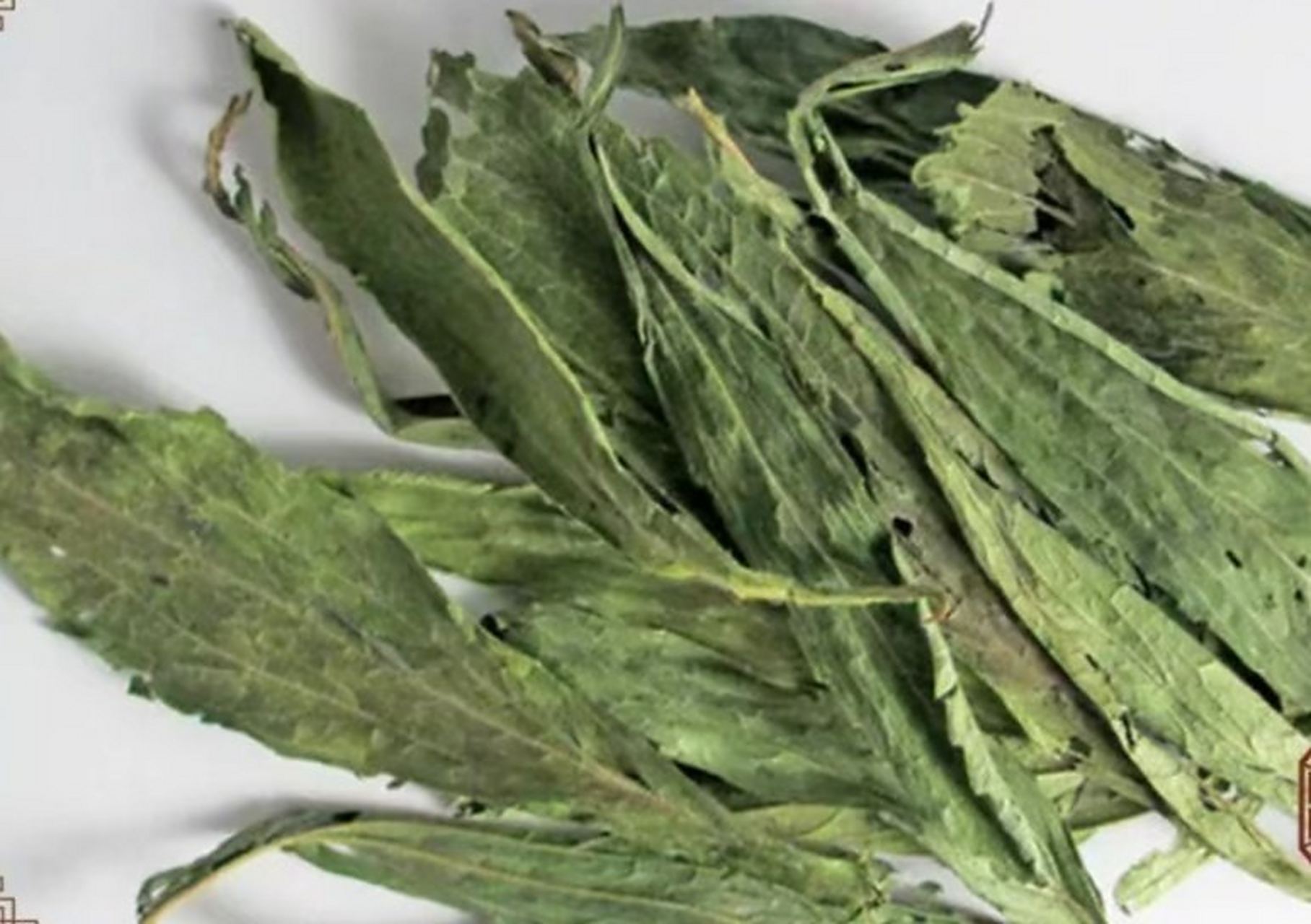 带状疱疹:青黛10g,冰片2g,共研细末,香油调匀涂于患处,溃破处直仅撒