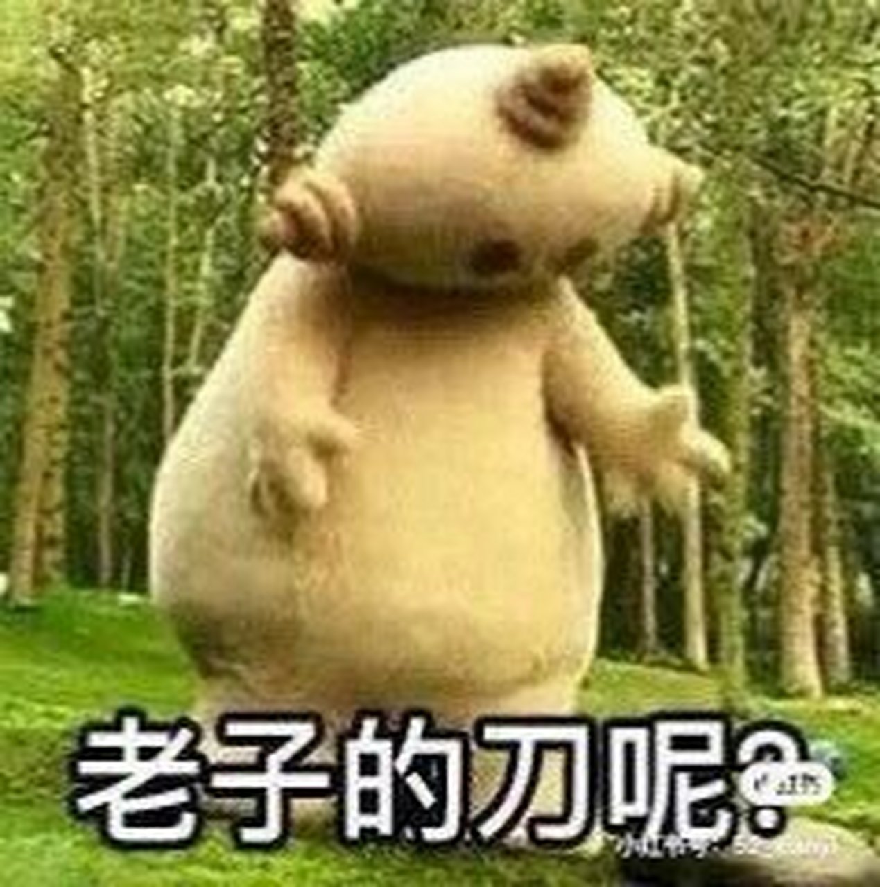 玛卡巴卡的刀没啦.