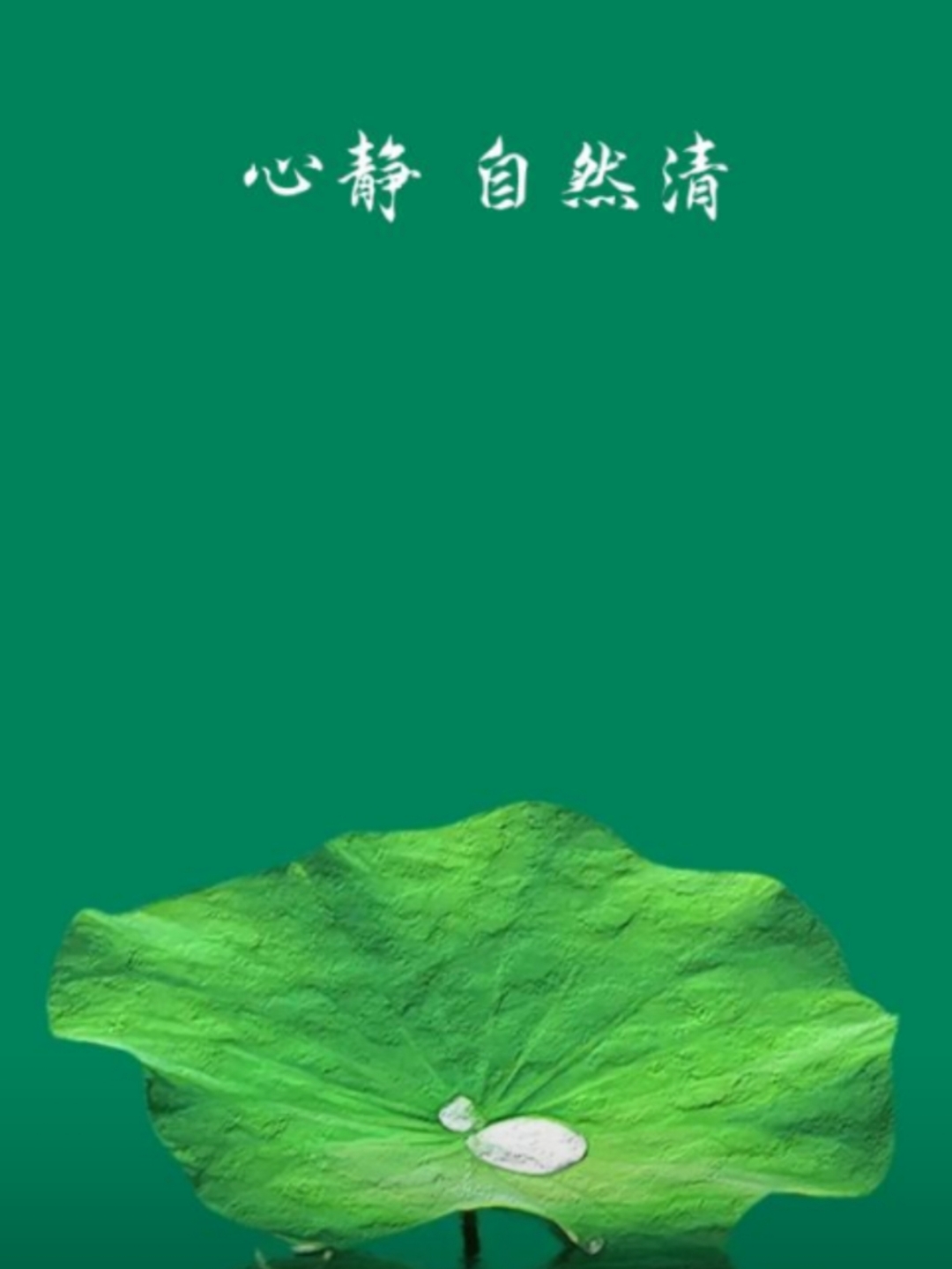 不计较得失 行动才会更勇敢