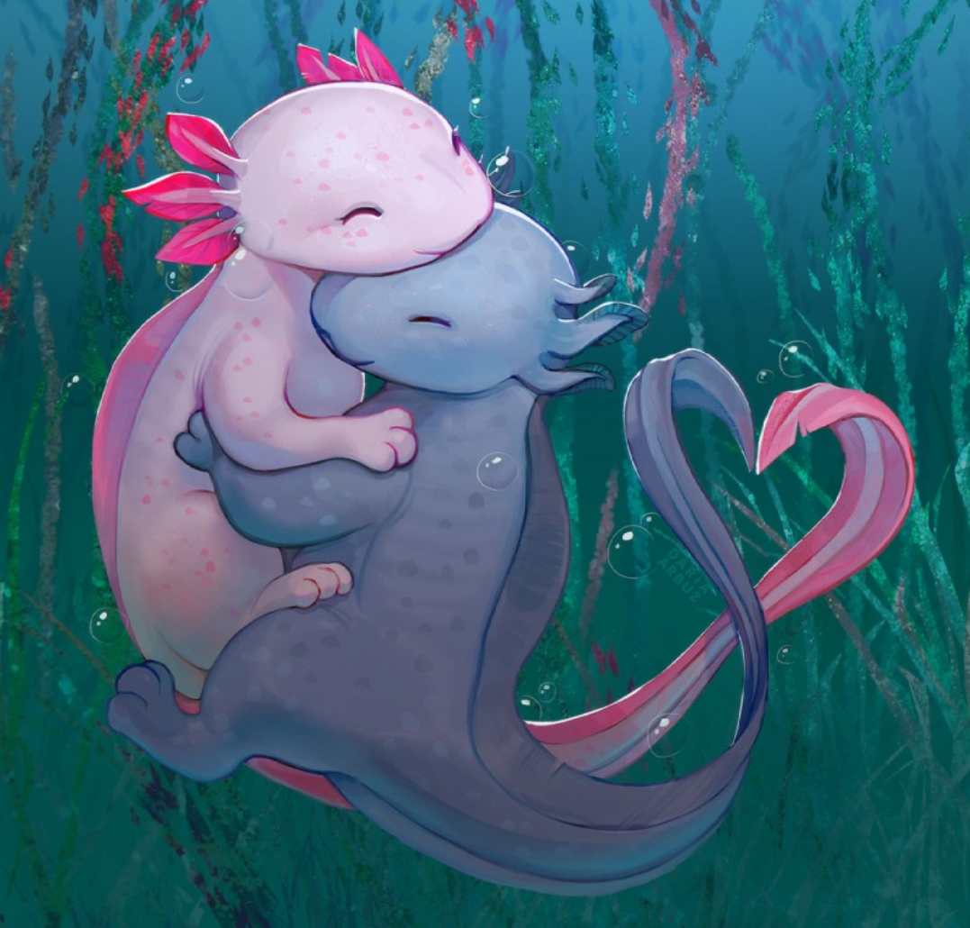 七夕快乐,发两只相亲相爱的美西螈#美西螈# #七夕