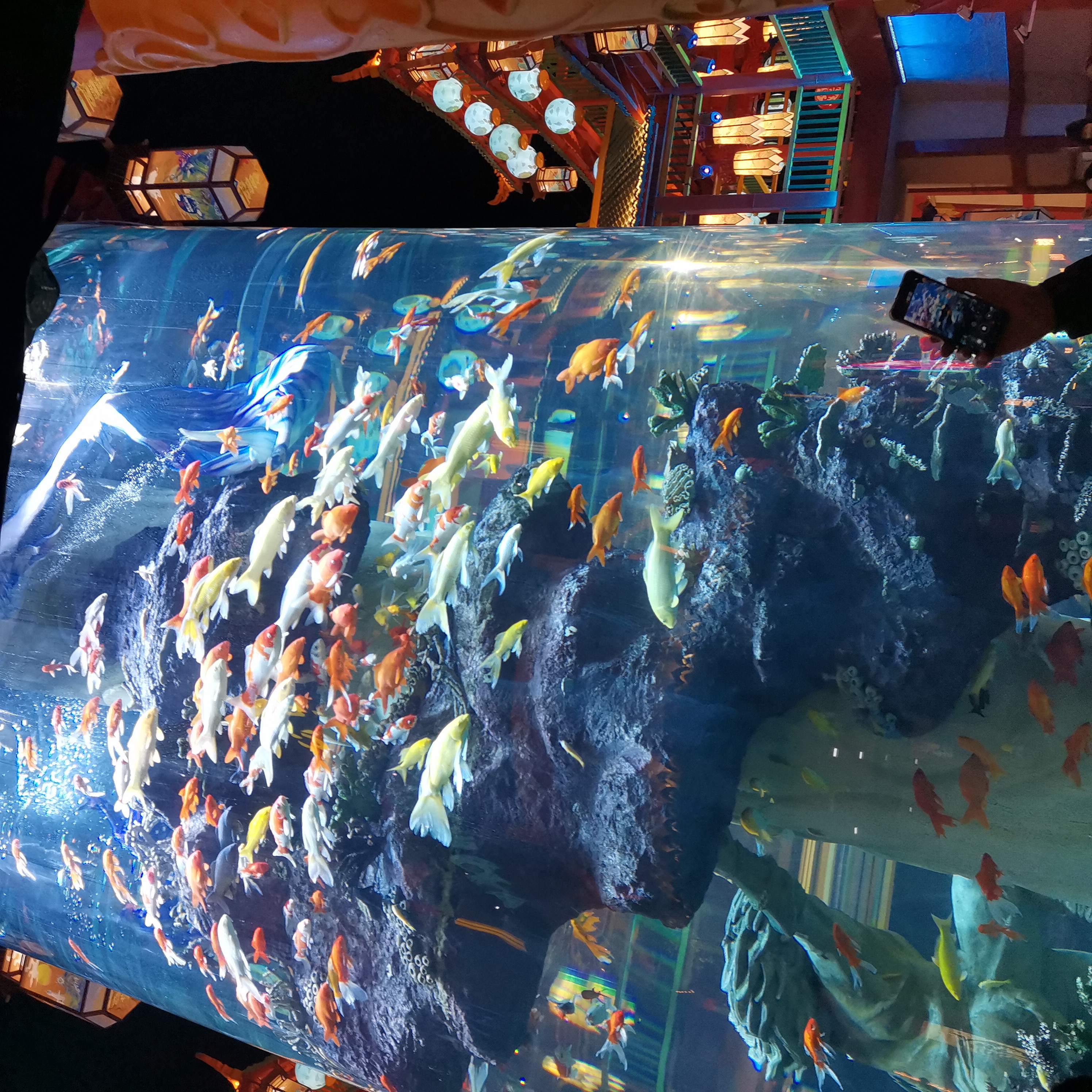 我去过这个水族馆,里面超级漂亮!