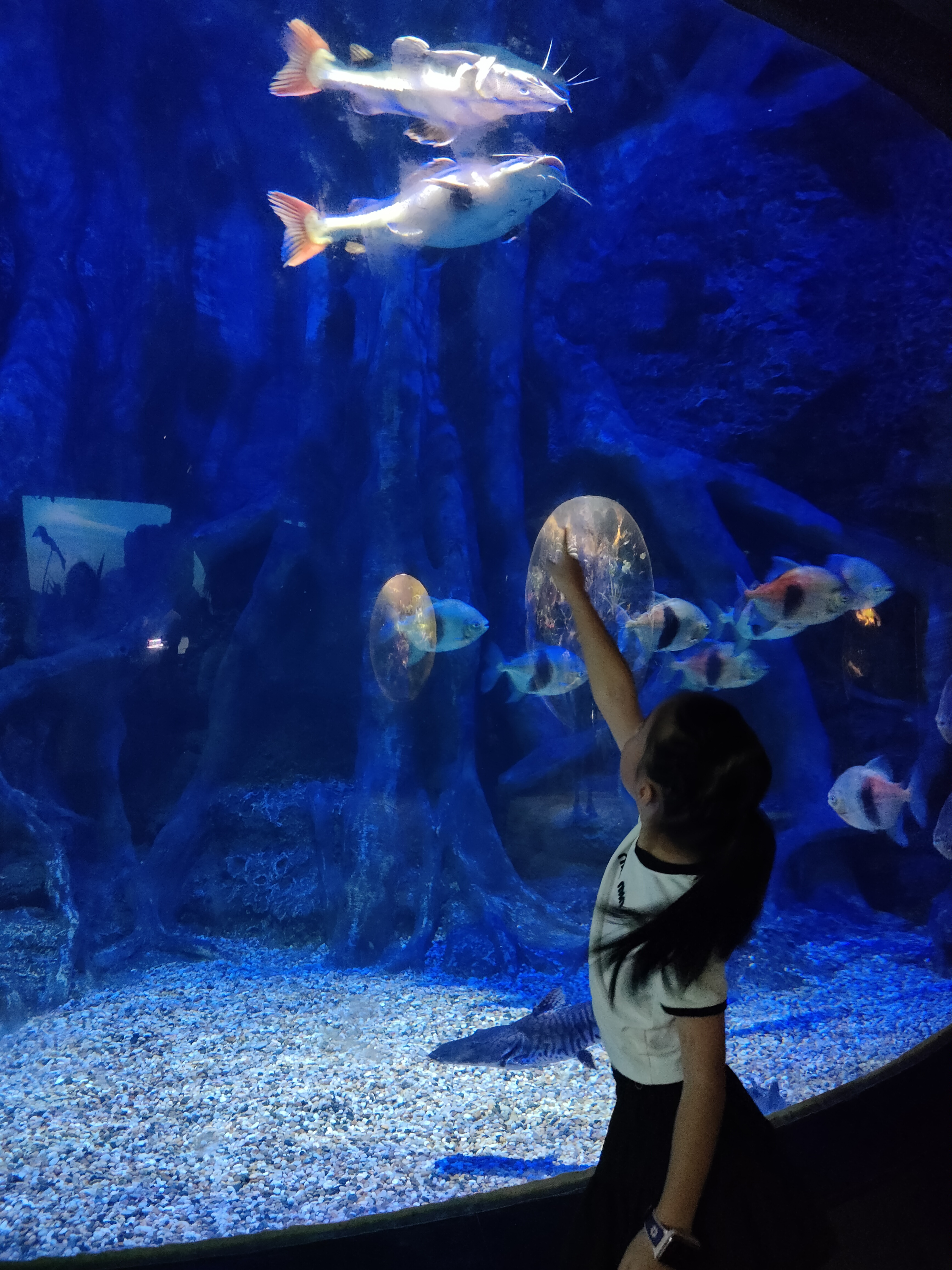 杭州海底世界水族馆图片