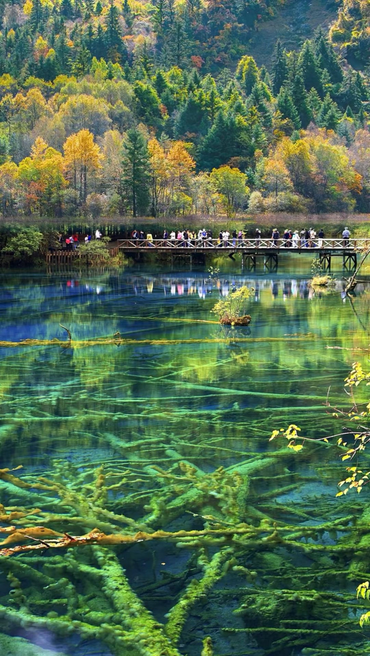 九寨沟四季风景图片图片