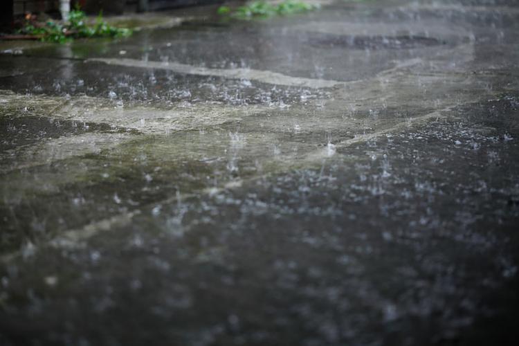 唯美雨天图,抓住细节拍的