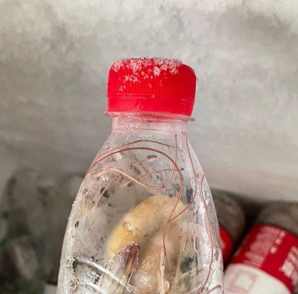 不懂就问,虾为什么要拿矿泉水瓶子装#搞笑趣味图