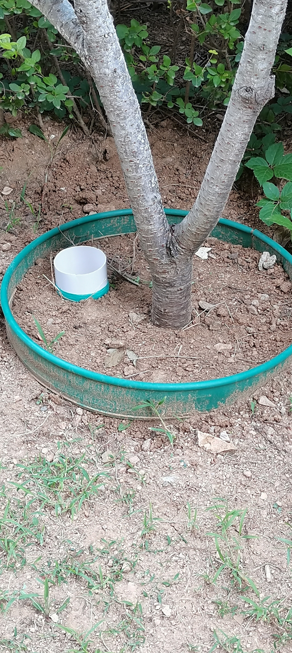 不懂就问,小区里树池里埋了些pvc塑料管,是干什么用的?