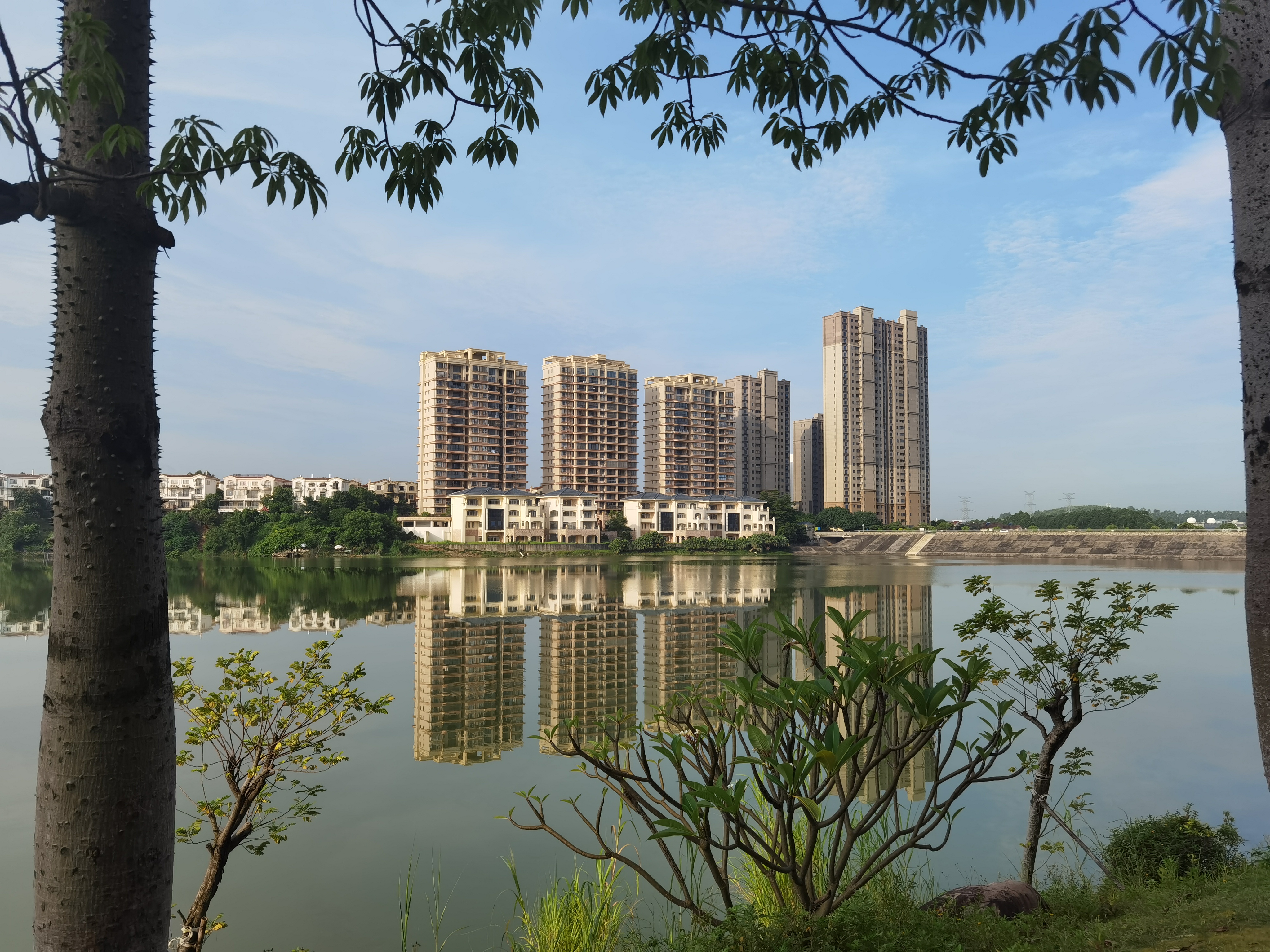 有组织犯罪辩护三百问(126) 126,哪些有组织犯罪的