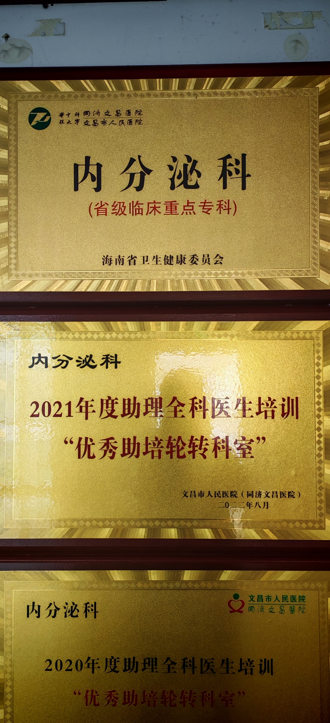 河南省腫瘤醫(yī)院（河南省腫瘤研究所）代掛提高就醫(yī)效率的簡單介紹