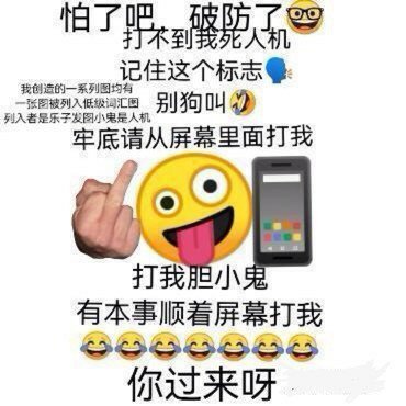 乐子小仙女,反的就是你,网名素质的耻辱柱,弱智思想的护卫犬,骂人的