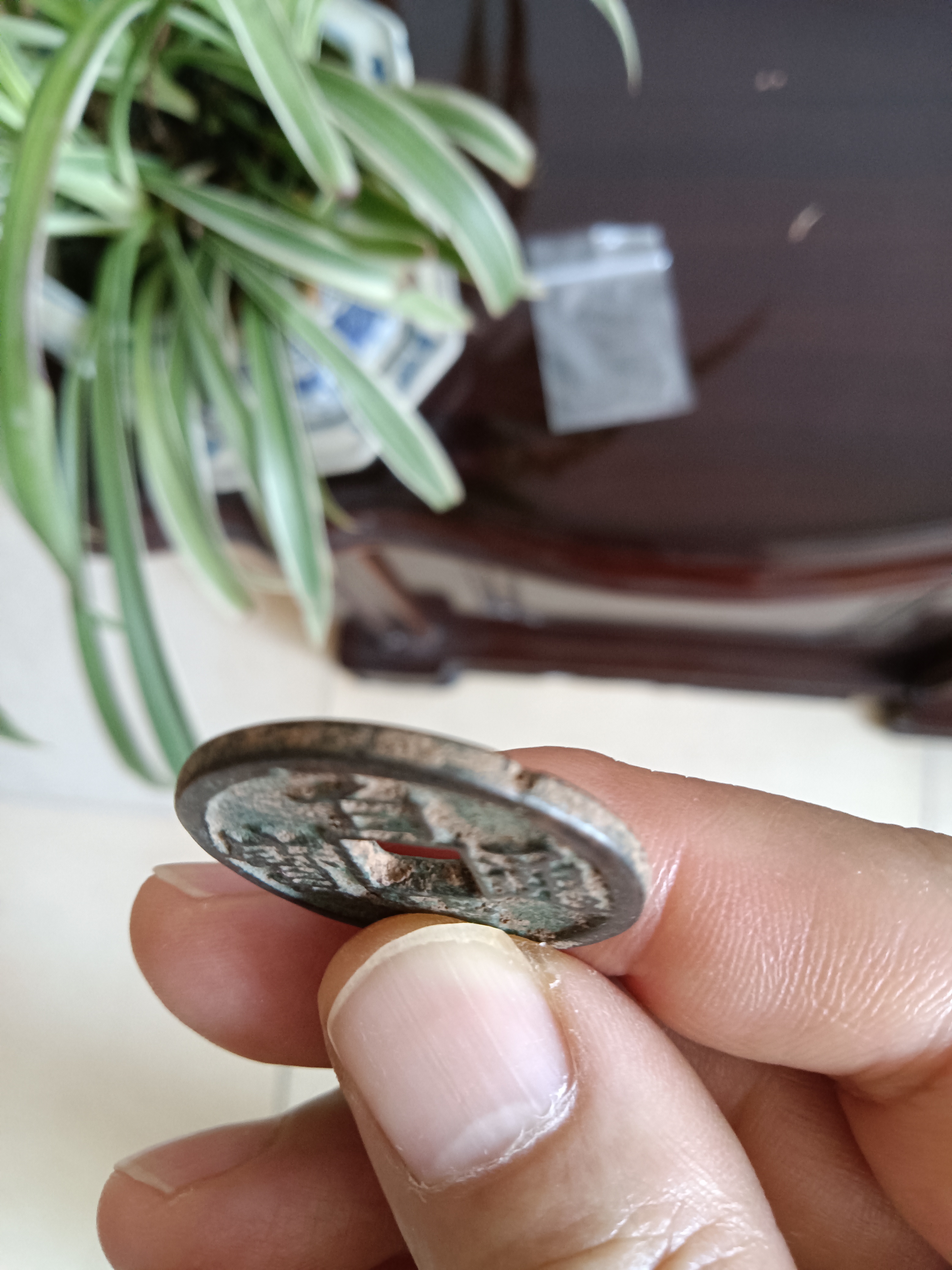 比较少见的一一白龙通宝