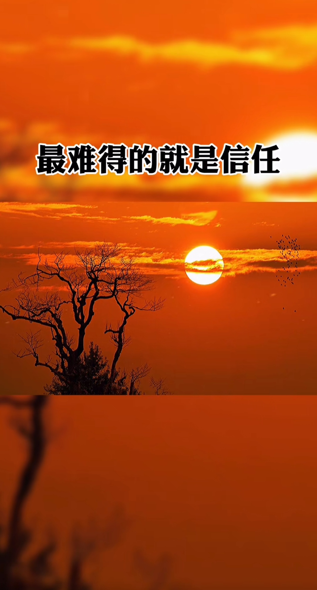 重燃民众信心的关键:信任的力量  在当今社会,信任似乎变得越来越稀缺
