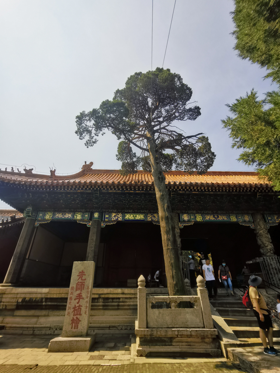 先师手植桧,据说是孔子亲手种植的桧树icon,历经了二千多年的风雨洗礼