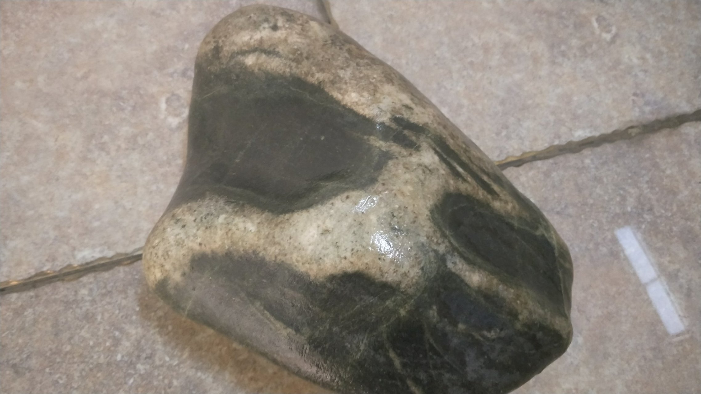 一匹狼,猫头鹰,本田标志