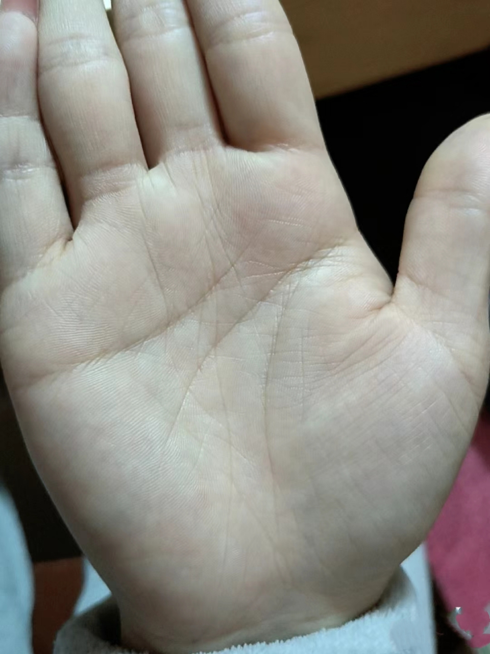 川字掌的,是很独立的.生命线有元宝纹的,是有钱的.
