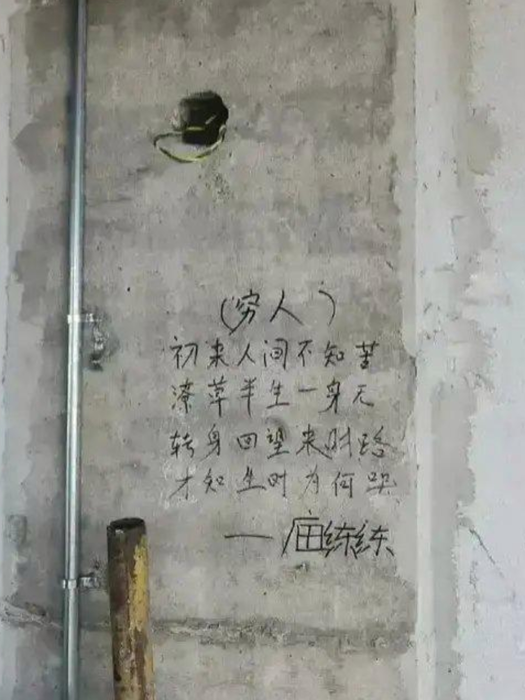 文字间满是无奈与坚韧,让人感慨万千.